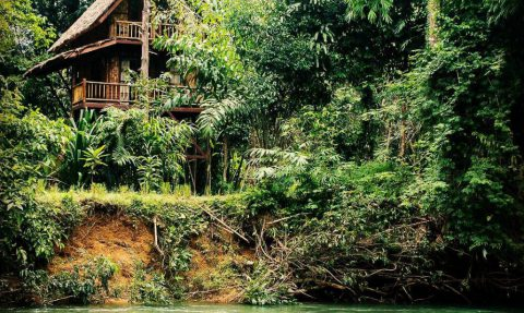 Thailand Reise mit Kindern - Khao Sok Nationalpark - Our Jungle Camp - Außenansicht