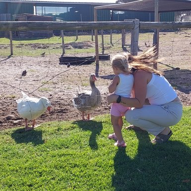Mutter und Tochter beobachten Tiere im Imhoff Farm – Südafrika mit Kindern