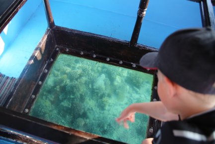 Glasbodenfahrt im roten Meer - Jordanien Reise mit Kindern