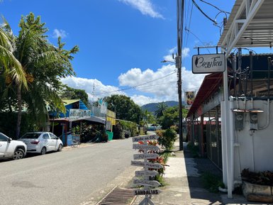 Sonnige Straße mit Palmen in Uvita – Costa Rica Familienreise