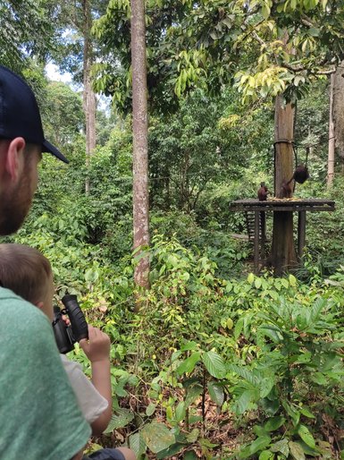 Vater und Kind beobachten Affen mit Fernglas - Malaysia Familienreise