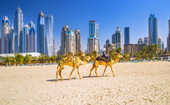 Blick auf Dubai Skyline mit Kamelen - Dubai mit Kindern