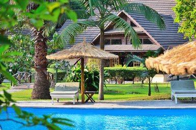 Ein einladender Poolbereich mit Liegen und Sonnenschirmen, umgeben von üppigem Grün und einem charmanten Holzhaus im Hintergrund.
