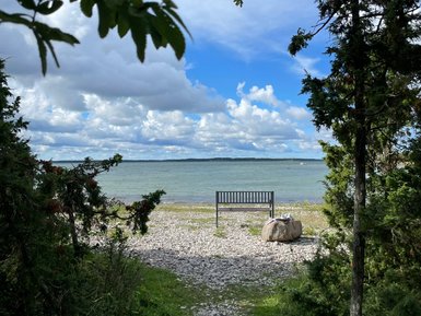 Ein ruhiger Weg führt zu einer Bank am Wasser, umgeben von Bäumen und einem klaren Himmel mit Wolken.