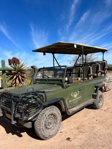 Offener Safari-Jeep im Buffelsdrift Game Reserve – Garden Route mit Kindern