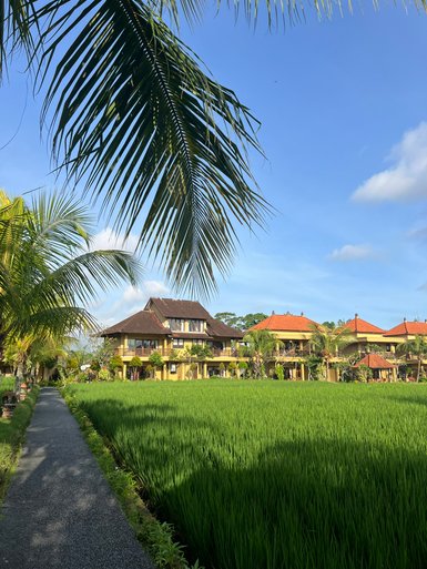 Ein malerischer Weg führt durch üppige Reisfelder zu einem charmanten Resort mit traditionellen balinesischen Dächern.