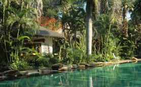 Ein ruhiger Pool umgeben von üppigem Grün und tropischen Pflanzen, ideal für Entspannung und Erholung.