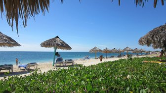 Ein sonniger Strand mit Palmen und Strohhütten, wo Menschen sich entspannen und die Wellen des Meeres genießen.