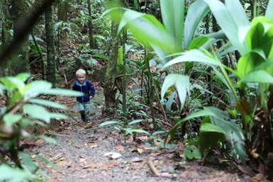 Kleinkind erkundet die Natur bei einer Wanderung in La Tigra – Costa Rica mit Kindern