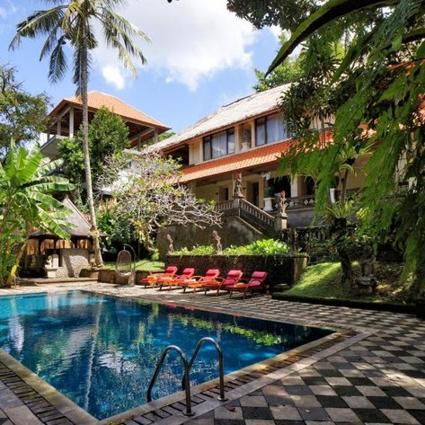 Ein einladender Poolbereich umgeben von üppigem Grün und tropischen Pflanzen, ideal für Entspannung und Erholung.