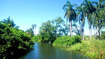 Ein ruhiger Fluss schlängelt sich durch üppiges, grünes Uferbewuchs unter einem strahlend blauen Himmel.