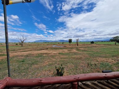 Eine weite Landschaft mit trockener Erde, vereinzelten Bäumen und einem klaren blauen Himmel mit Wolken im Tsavo Nationalpark.