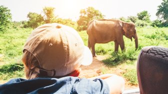 Junge blickt gespannt aus dem Safari-Jeep auf einen Elefanten im Udawalawe Nationalpark – Sri Lanka mit Kindern