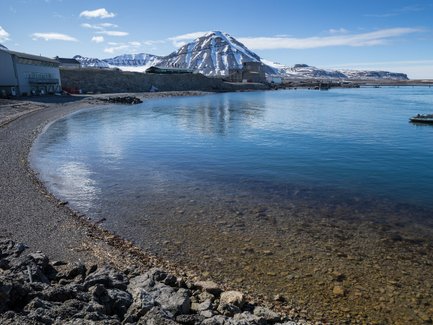 Ein ruhiger Küstenabschnitt mit klarem Wasser, umgeben von schneebedeckten Bergen und einem blauen Himmel.