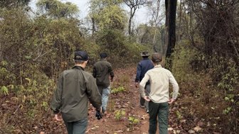 Eine Gruppe von vier Personen wandert auf einem schmalen Pfad durch einen dichten Wald mit herbstlichen Farben.