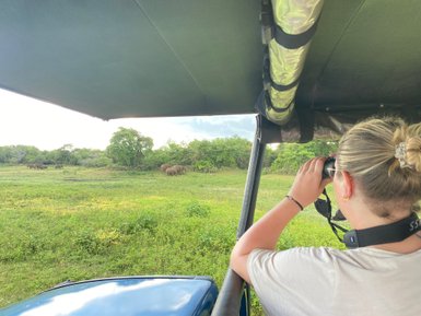 Frau beobachtet Tiere mit Fernglas während der Safari im Udawalawe Nationalpark – Sri Lanka mit Kindern