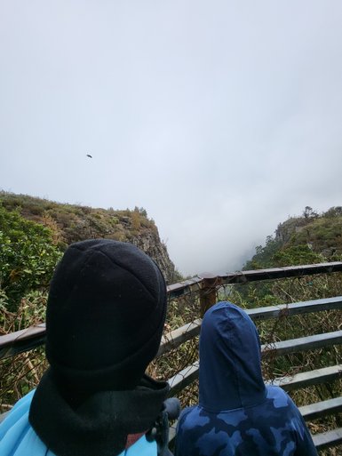 Kinder stehen am Aussichtspunkt und blicken auf den vernebelten Blyde River Canyon – Südafrika mit Kindern