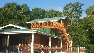 Ein charmantes Holzhaus mit einem grünen Dach, umgeben von üppigem, grünem Wald und strahlend blauem Himmel.