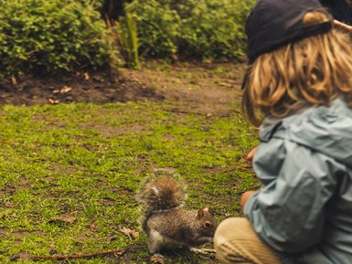 Kind füttert Eichhörnchen in Kapstadt – Südafrika mit Kindern
