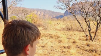 Ein Kind schaut gespannt aus dem offenen Safari-Fahrzeug im Entabeni Game Reserve – Südafrika Familienreise