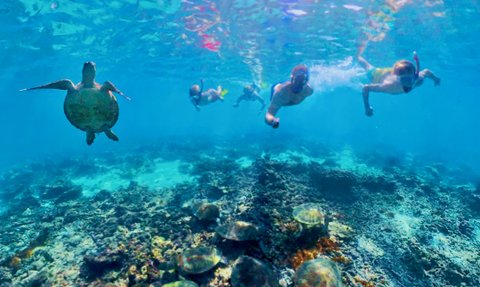 Familie entdeckt beim Schnorcheln die bunte Unterwasserwelt der Daymaniyat-Inseln – Oman Familienreise