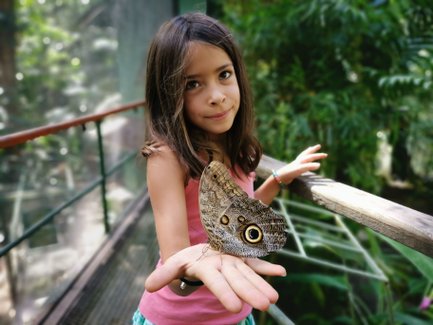 Mädchen mit einem buntem Schmetterling im Ecocentro Danaus – Costa Rica mit Kindern