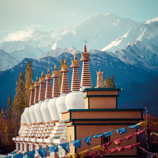 Eine Reihe von Stupas mit goldenen Spitzen steht vor majestätischen, schneebedeckten Bergen im Hintergrund.