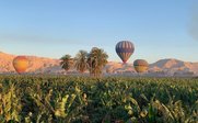 Blick auf die aufsteigenden Heißluftballons in Luxor - Ägypten for family - Ägypten mit Kindern