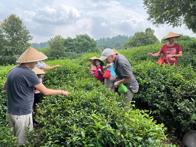 Familie erkundet gemeinsam die grünen Teeplantagen in der Umgebung von Guilin – China Familienreise