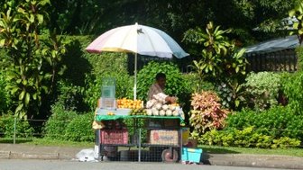 Ein Straßenverkäufer steht unter einem bunten Sonnenschirm und bietet frisches Obst in einer grünen Umgebung an.