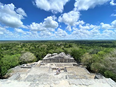 Panoramablick vom Tempel über das endlose grüne Blätterdach des Dschungels in Calakmul – Mexiko Familienreise