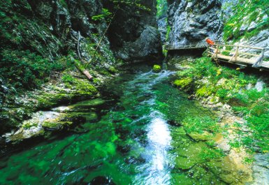 Ein klarer Fluss schlängelt sich durch eine grüne Schlucht, umgeben von hohen Felsen und üppiger Vegetation.