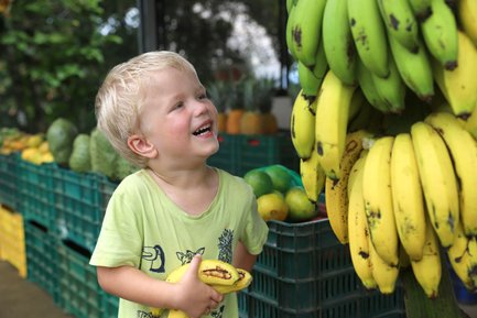 Kleines Kind greift nach Bananen – Costa Rica Familienreise