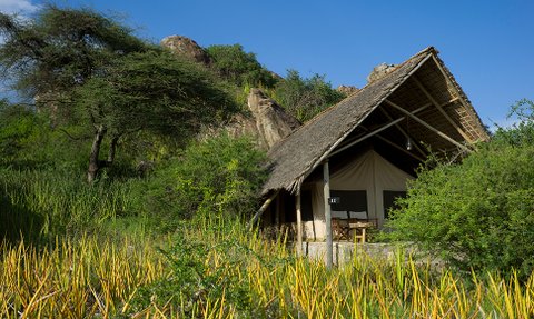 Ein gemütliches Zelt mit Strohdach steht inmitten üppiger, grüner Vegetation und leuchtend gelben Pflanzen.