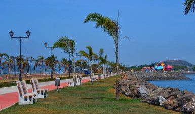Eine malerische Uferpromenade mit Palmen, Bänken und einem Blick auf das Wasser und bunte Gebäude im Hintergrund.