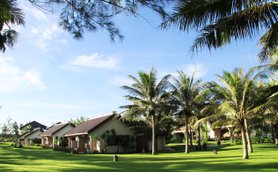 Eine ruhige Gartenlandschaft mit Palmen und charmanten Bungalows unter einem strahlend blauen Himmel.