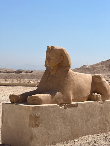 Eine Sphinx-Statue im Vorhof des Hatschepsut-Tempels – Ägypten Reise mit Kindern