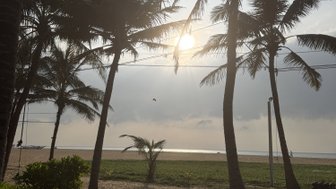 Palmen stehen majestätisch am Strand, während die Sonne sanft hinter den Wolken aufgeht und das Wasser glitzert.