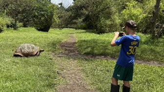 Ein Junge in Gummistiefeln fotografiert eine große Schildkröte auf einem schmalen Pfad in einer grünen Landschaft.