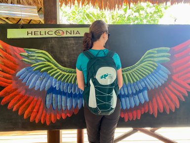 Eine Person steht vor einem bunten Wandgemälde mit großen, farbenfrohen Flügeln, die an einen Vogel erinnern.