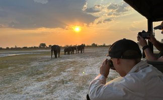 Eine Gruppe von Elefanten wandert majestätisch in der Abenddämmerung, während Touristen sie aus einem Jeep beobachten.