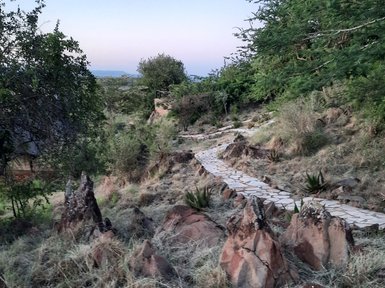 Naturpfad schlängelt sich durch die grüne Landschaft – Tansania mit Kindern
