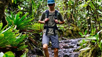 Ein Wanderer mit einem Rucksack geht einen von Felsen gesäumten Pfad durch üppige grüne Vegetation.