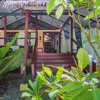 Ein einladendes Holzhaus mit einem Strohdach, umgeben von üppigem Grün und tropischen Pflanzen, die eine entspannte Atmosphäre schaffen.