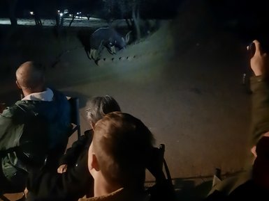 Eine Reisegruppe entdeckt mit einer Taschenlampe nachtaktive Tiere in der Dunkelheit - Namibia Rundreise mit Kindern