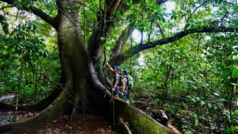 Zwei Wanderer stehen unter einem mächtigen Baum, der von üppigem, grünem Laub umgeben ist, und betrachten die Natur.