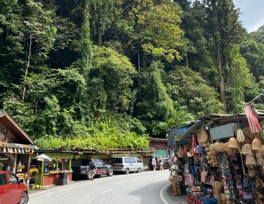 Eine von Bäumen gesäumte Straße schlängelt sich durch die Cameron Highlands – Malaysia & Borneo Reise mit Kindern