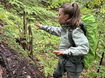 Eine Person in wetterfester Kleidung steht auf einem Baumstamm und zeigt auf die Umgebung im üppigen, grünen Wald.