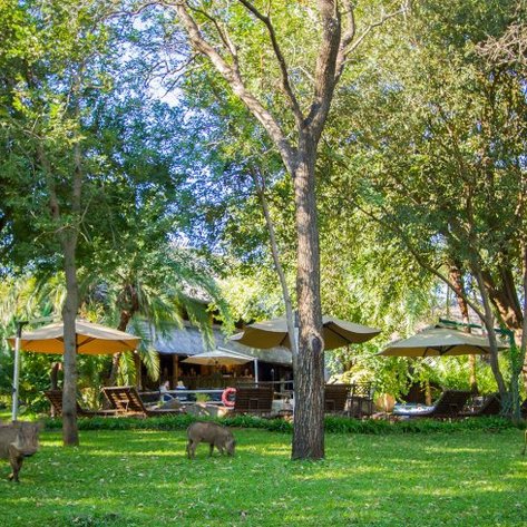 Gartenanlage Lokuthula Lodge - Namibia Rundreise mit Kindern