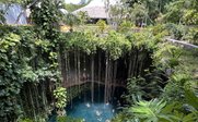 Blick auf traumhafte Cenote mit blauem Wasser - Mexiko Family & Teens - Mexiko mit Kindern